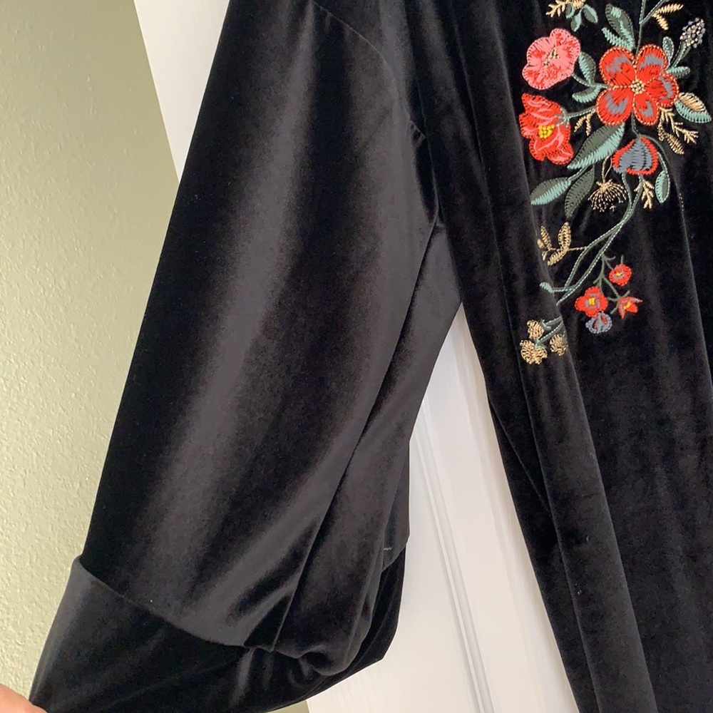 Zara Velvet Midi Dress - Picture 5 of 12